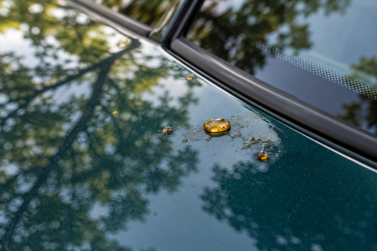 How to Remove Tree Sap from Car Paint Without Scrubbing It Around